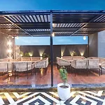 Saltstayz Olive - Pitampura
