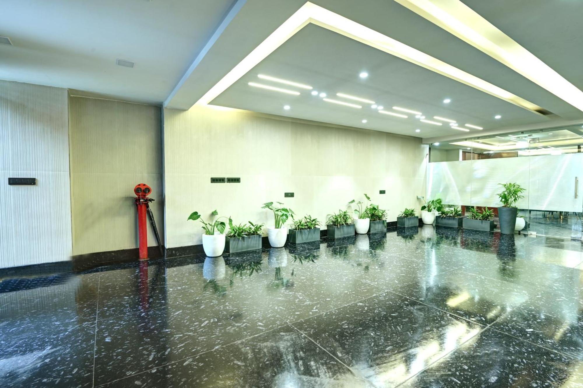 Saltstayz Olive - Pitampura New Delhi