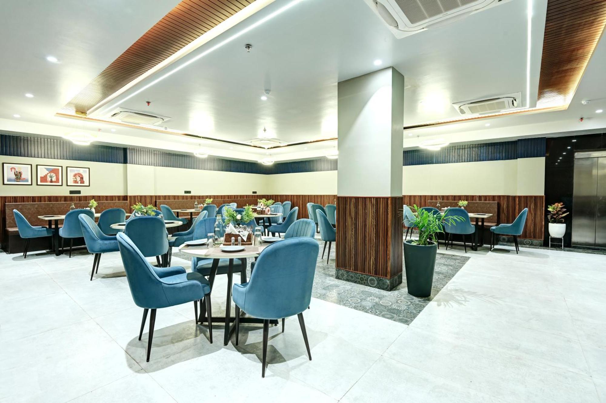 Saltstayz Olive - Pitampura New Delhi